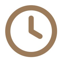 Wrinkle-free in 5 minutes icon